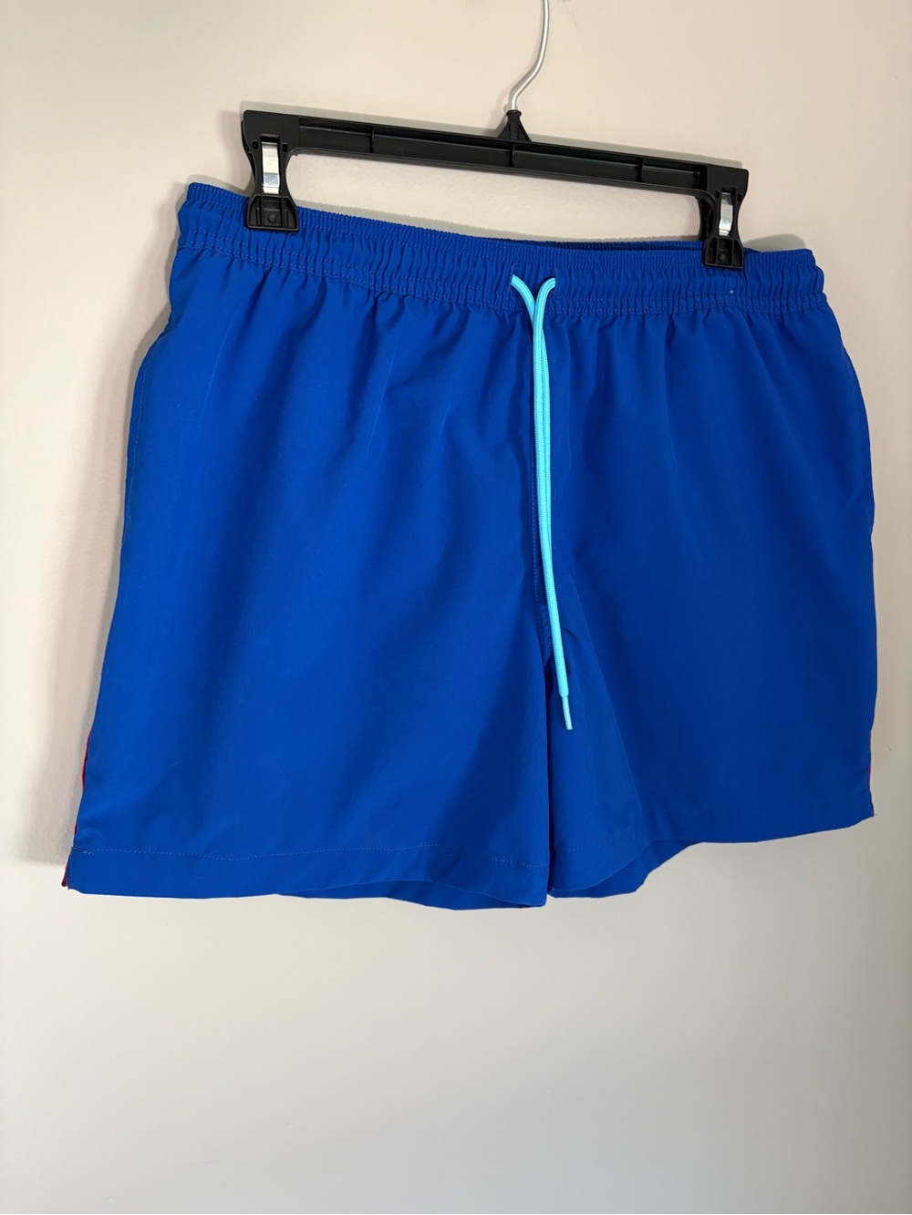Chubbies Men's 5.5" Classic Lined Swim Trunks Blue Retro Stripe - Size L